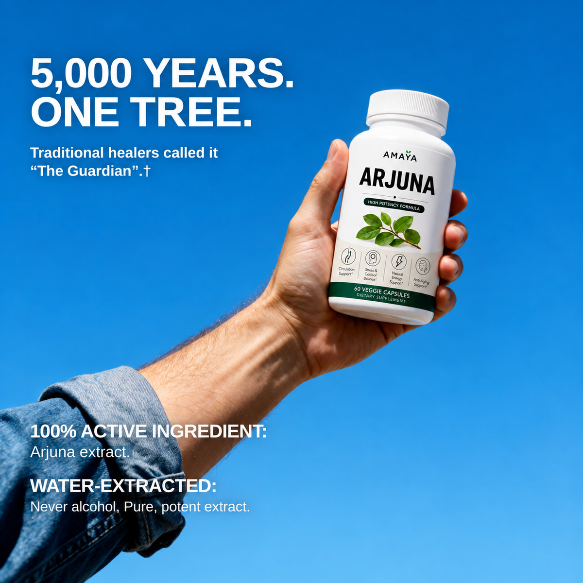 Amaya's Arjuna 100% Pure Leaf Extract